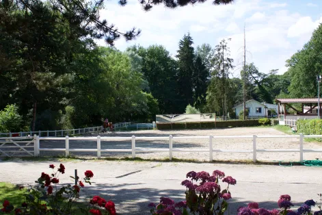 Vue générale des Écuries d'El Suerte